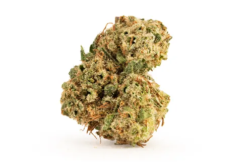 Product image of Bone Smashing - BC 1/4 - Dried Flower