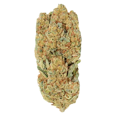 Product image of Frosted Animal Cake - Redecan - Dried Flower