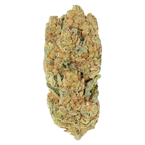 Product image of Frosted Animal Cake - Redecan - Dried Flower