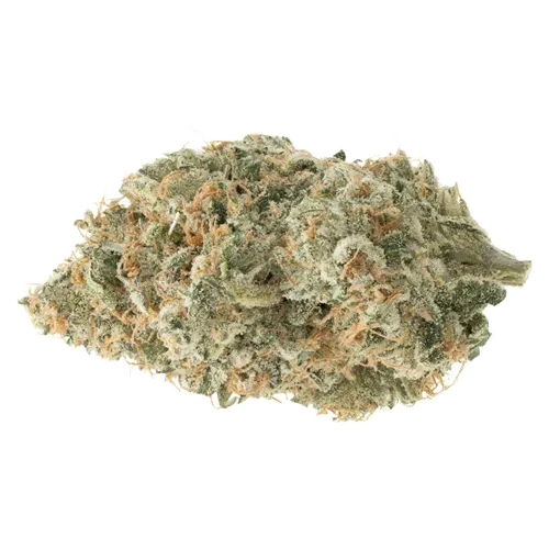 Product image of Cement Shoes - SUMO - Dried Flower
