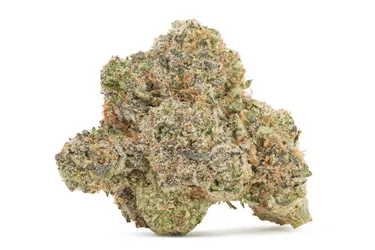 Product image of Galactica OG - DEALR - Dried Flower
