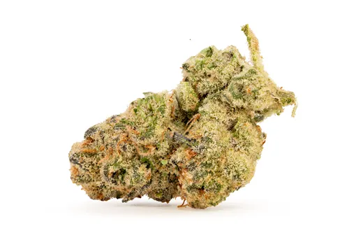 Product image of Glitter Bomb - Salt Springs Magic - Dried Flower