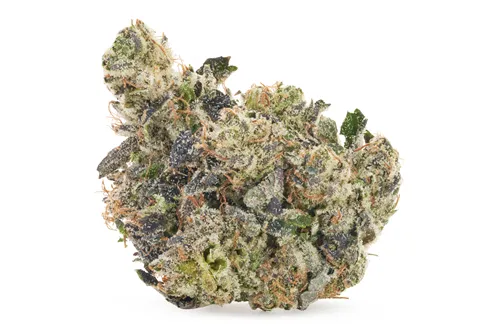 Diablo - Pistol and Paris - Dried Flower