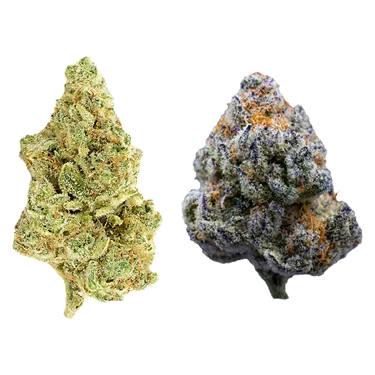 Product image of The Bread Bag - Rosin Heads - Variety Flower