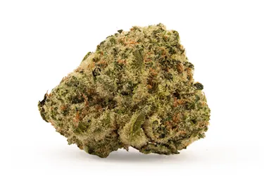 Product image of Toba's Banana Pie - Tobagrown - Dried Flower