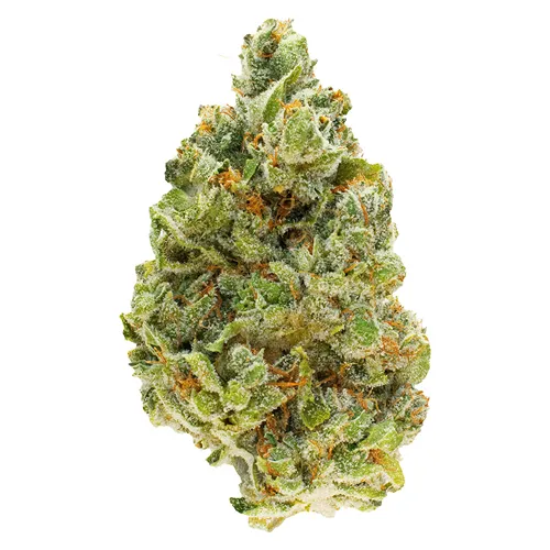 Strawberry Pavé - FOUR54 - Dried Flower