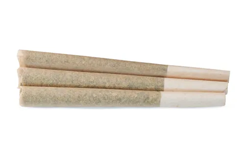 East Coast Dank'z - MTL Cannabis - Joints