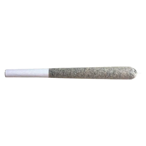 Product image of Glazed Apricot Gelato - Be Humble. - Joints