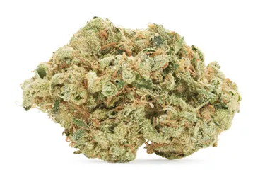 Product image of Hawaiian Snow - Choklit Park - Dried Flower