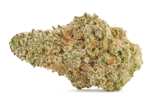 Critical Diesel - Greybeard - Dried Flower