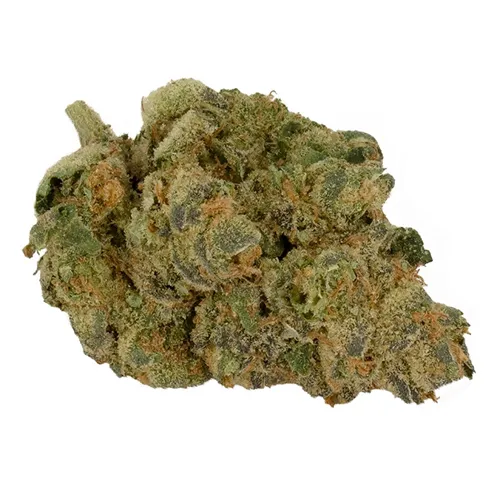 Product image of GMO Garlic Breath - Doja - Dried Flower