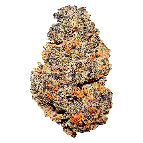 Pink Grapes - Castle Rock Farms - Dried Flower
