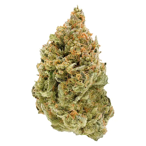 BC Organic Fruit Loopz - Simply Bare - Dried Flower