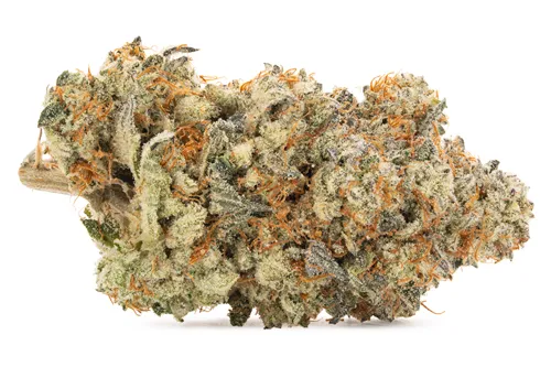 Product image of Strawberry Mango Lto - Valhalla Flwr - Dried Flower