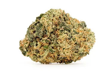Product image of Jade Noir - BC OZ - Dried Flower