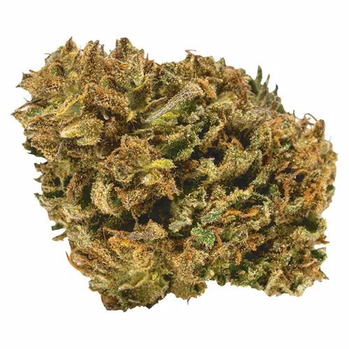 Product image of Power Nap - Catch Me Outside - Dried Flower