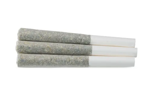 Product image of Timmy's OG Shark - Salt Spring Magic - Joints