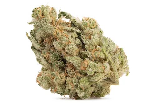 Product image of Zombie Breath - Castle Rock Farms - Dried Flower