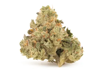 Product image of Papaya Bomb - DEALR - Dried Flower
