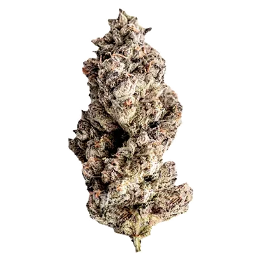 Product image of Red Velvet Ice Cream - Seaweed - Dried Flower