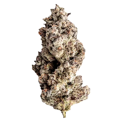 Product image of Red Velvet Ice Cream - Seaweed - Dried Flower