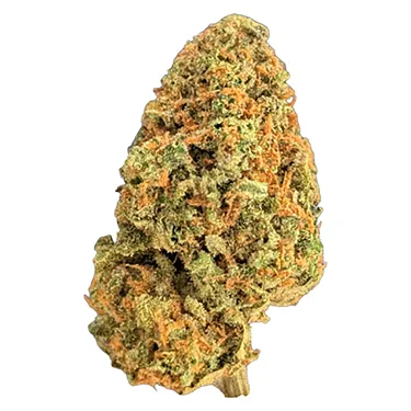 Product image of BC Organic Plumz - Simply Bare - Dried Flower