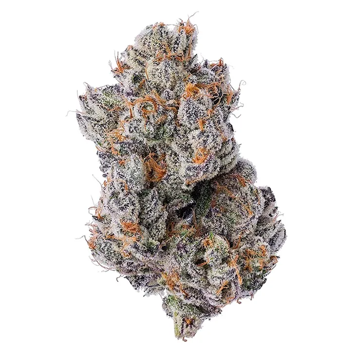 Product image of Purple Zushi - Coterie - Dried Flower