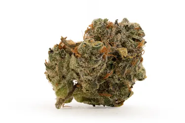 Product image of Silver Orchard - BZ OZ - Dried Flower