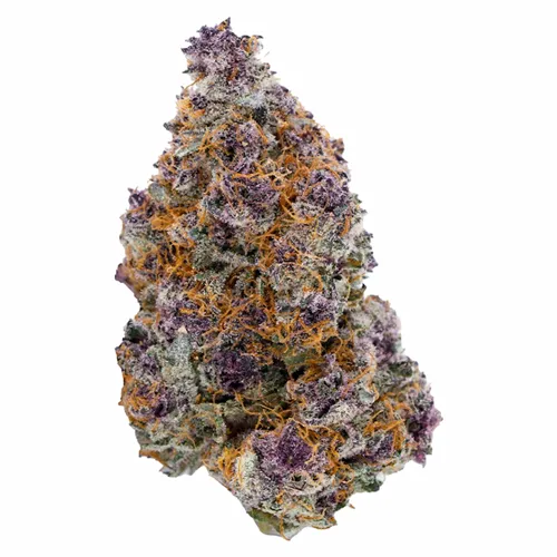 Product image of Trop Cherry - Sheeesh! - Dried Flower