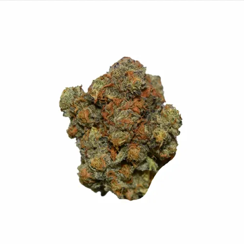 MAC 1 - Ritual Green - Dried Flower