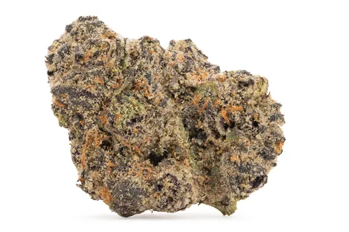Product image of Super Lemon Cherry Flower - BOLD - Dried Flower