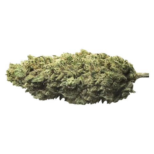 Product image of Skywalker Haze - The Original Fraser Valley Weed Co. - Dried Flower