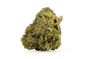 Product image of BC Organic Tea Time #7 - Simply Bare - Dried Flower