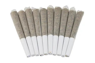 Product image of Gas Pedal - Green Mountain Health Alliance - Joints