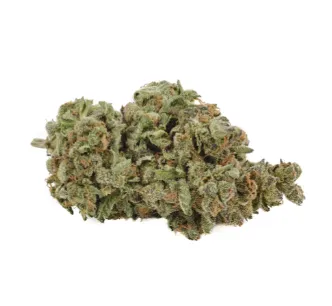 Product image of Apple Fritter - Back Forty - Dried Flower