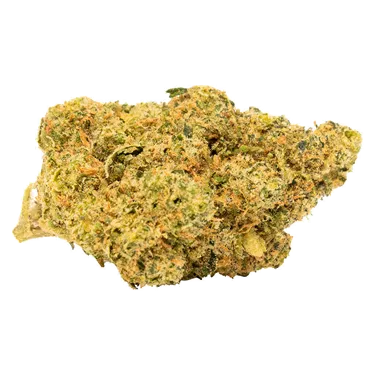 Product image of Tropical Gelato Slushie - Tweed - Dried Flower