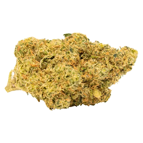 Tropical Gelato Slushie - Tweed - Dried Flower
