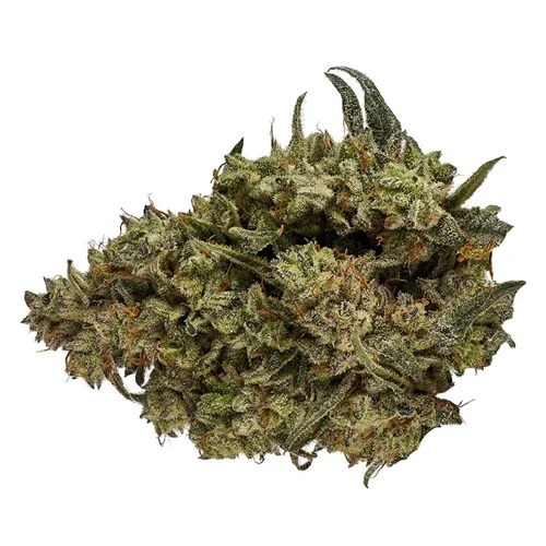 Product image of CBD Runtz - Orchid CBD - Dried Flower