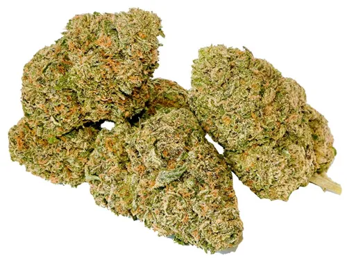 Product image of Ice Cream Wizard - Cannabis Cartel - Dried Flower