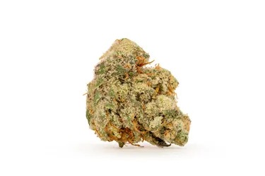 Product image of Pucker Up - Orchard - Dried Flower
