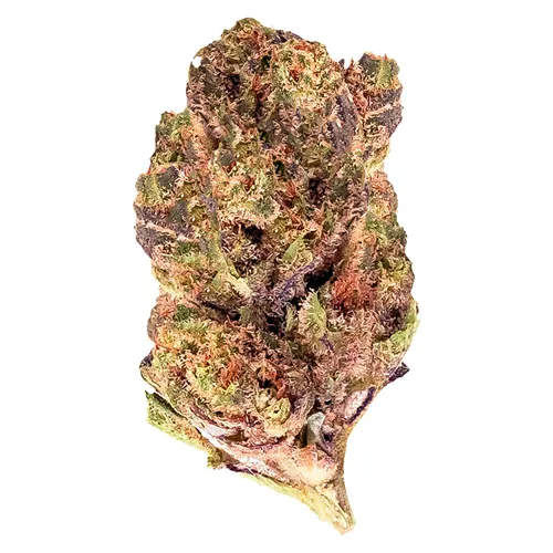 Product image of Grape Pie - 3Saints - Dried Flower