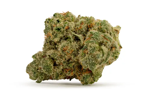 Product image of Nebula - BC OZ - Dried Flower