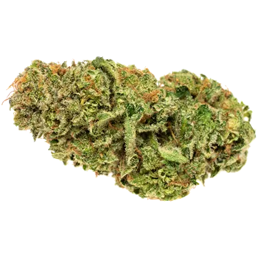 Product image of Balance - Solei - Milled Flower