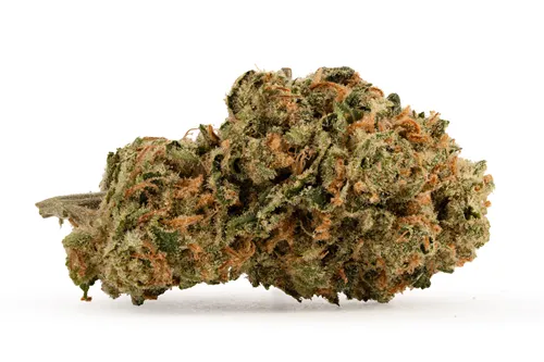 Product image of C99 Haze - Soar - Dried Flower