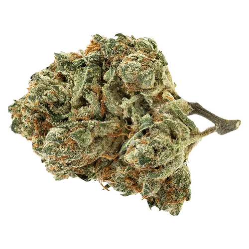 Product image of Alien Pebbles - Pure Sunfarms - Dried Flower