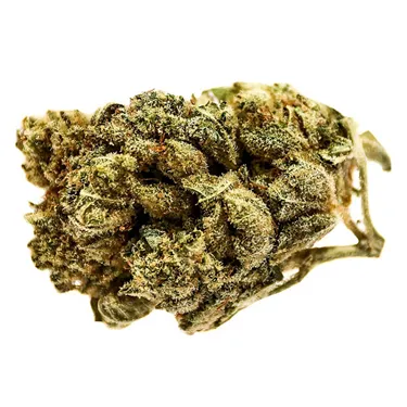 Product image of Blue Dream - Station House - Dried Flower
