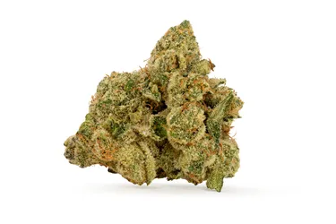 Product image of Gloc - Orchard - Dried Flower