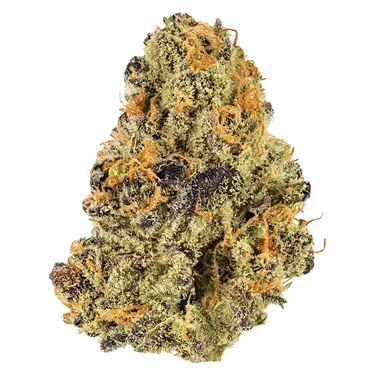 Product image of Blueberry Tart - Potluck - Dried Flower