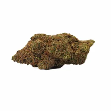 Product image of Orange Crush - BOLD - Dried Flower