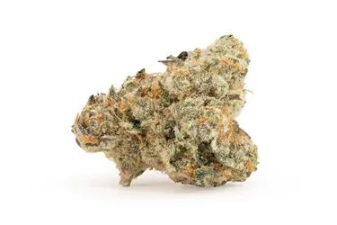 Product image of Thirty Stack Terpy Smalls - Kmintz - West Coast Weedery - Dried Flower